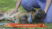 I benefici di crescere con un cane