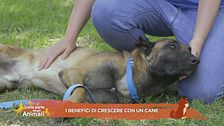 I benefici di crescere con un cane