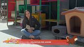 Volontari per amore