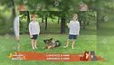 Perché ai cani piace riportare la pallina?