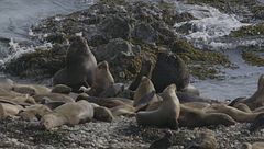 Ep. 1 - Una calda giornata nel nuovo mondo