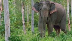 Ep. 2 - Il giorno più lungo in Asia