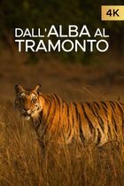 Ep. 1 - Una calda giornata nel nuovo mondo