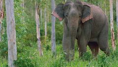 Ep. 2 - Il giorno piu' lungo in asia