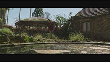 Trailer - Love and monsters