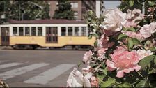 Trailer - Giardinieri d'assalto