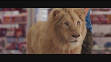 Trailer - Mia e il leone bianco