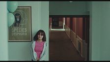 Trailer - Wolf