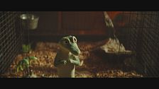 Trailer - Il talento di Mr. Crocodile