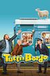 Trailer - Tutti a bordo
