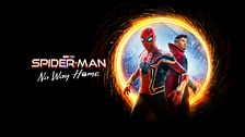 Spider-Man: no way home