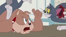 Animali preistorici
