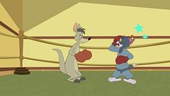 L'incontro di boxe