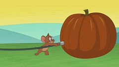 La festa del raccolto