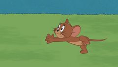 Una casa sull'albero divisa