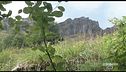 Un viaggio nel tempo dentro la roccia del Monte Generoso