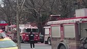 Rogo nel bronx, strage di bambini