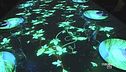 Un'esperienza sensoriale a 360 gradi