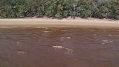 Disastro ambientale in Thailandia