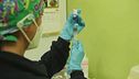Le nuove regole anti-covid: meno dad per chi è vaccinato