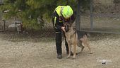 Padova, i cani del soccorso alpino