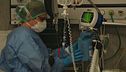 Un farmaco per far morire Mario