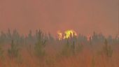 Argentina devastata dagli incendi