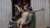Ucraina, in pericolo anche l'arte