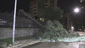 Svolta invernale con piogge e vento