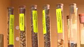 Banche della biodiversità