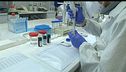 Virus, nuova variante in Calabria