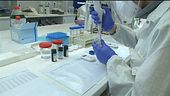 Virus, nuova variante in Calabria