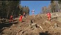 90 alberi sul Mottarone