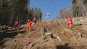 90 alberi sul Mottarone