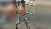 E' già libero l'uomo del machete