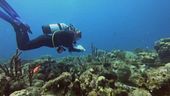 Oceani, un bene da salvare