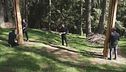 Ecco il "fruscio" del bosco