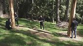 Ecco il "fruscio" del bosco
