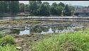 Siccità, è guerra dell'acqua