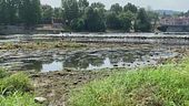 Siccità, è guerra dell'acqua