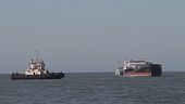 "Le navi russe rubano il grano"