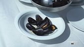 Cozze allevate sul Po
