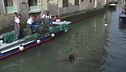 Venezia, sub "a pesca" di rifiuti
