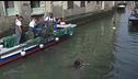 Venezia, sub "a pesca" di rifiuti