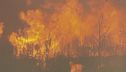 Inferno di fiamme in Portogallo