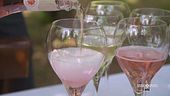 I vini perfetti per l'estate