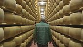 Caro energia, rischia anche il cibo