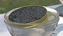 Il caviale italiano