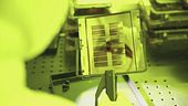 Niente microchip, servizi a rischio