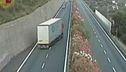 Un'estate di follie al volante